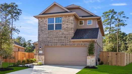 Tomball 2-story, 3-bed 21935 Oron Maple Way-idx