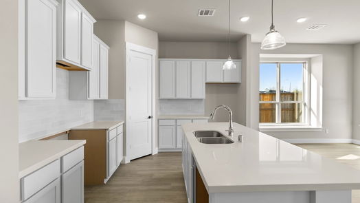 Tomball 1-story, 3-bed 20830 Brown Sativa Trail-idx