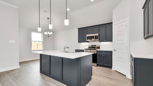 Cleveland 1-story, 3-bed 10270 Cabo Del Sol Drive-idx