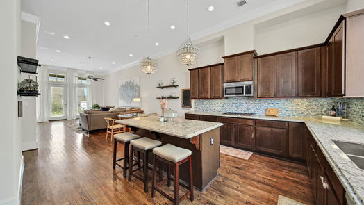 Houston 3-story, 3-bed 2303 Kolbe Grove Lane-idx