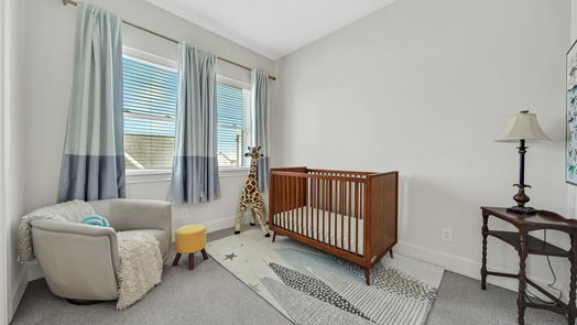 Houston 3-story, 3-bed 2303 Kolbe Grove Lane-idx