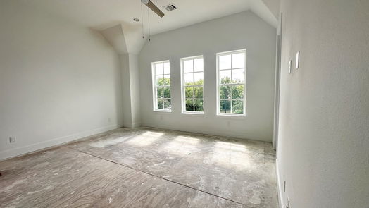 Houston 3-story, 3-bed 735 Bringhurst Street-idx