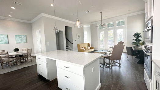 Houston 3-story, 3-bed 735 Bringhurst Street-idx