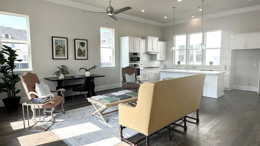Houston 3-story, 3-bed 735 Bringhurst Street-idx