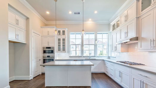 Houston 3-story, 3-bed 1019 Golden Nectar Lane-idx