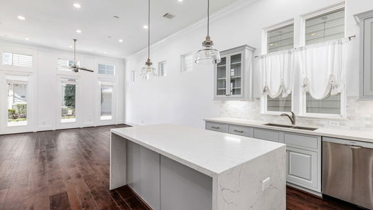 Houston 3-story, 3-bed 8673 Green Kolbe Lane-idx