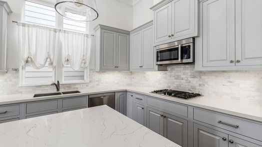 Houston 3-story, 3-bed 8673 Green Kolbe Lane-idx
