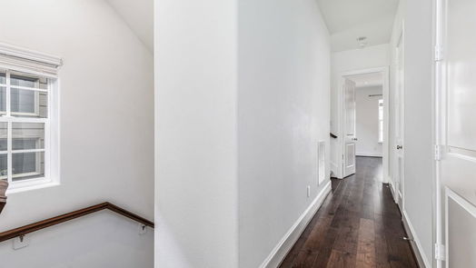 Houston 3-story, 3-bed 8673 Green Kolbe Lane-idx
