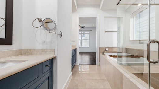 Houston 3-story, 3-bed 8673 Green Kolbe Lane-idx