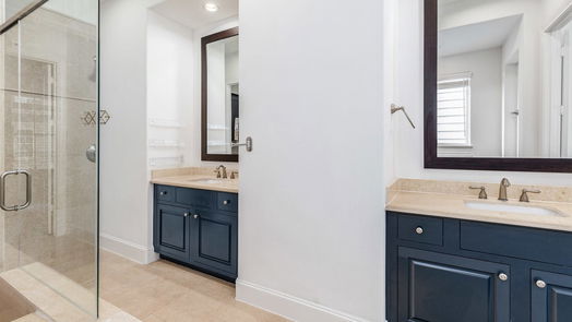Houston 3-story, 3-bed 8673 Green Kolbe Lane-idx