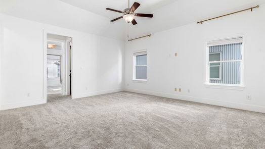 Houston 3-story, 3-bed 8673 Green Kolbe Lane-idx