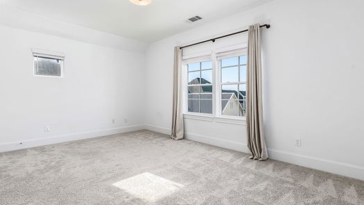 Houston 3-story, 3-bed 8673 Green Kolbe Lane-idx