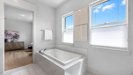 Houston 4-story, 3-bed 1207 Hickory Street G-idx