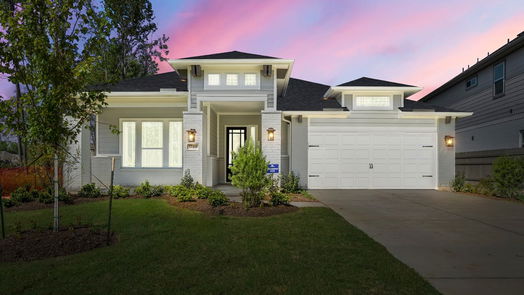 Conroe null-story, 3-bed 17311 Sunflower Petals Trail-idx