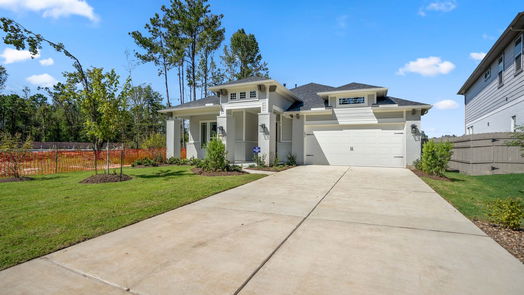 Conroe 1-story, 3-bed 17311 Sunflower Petals Trail-idx