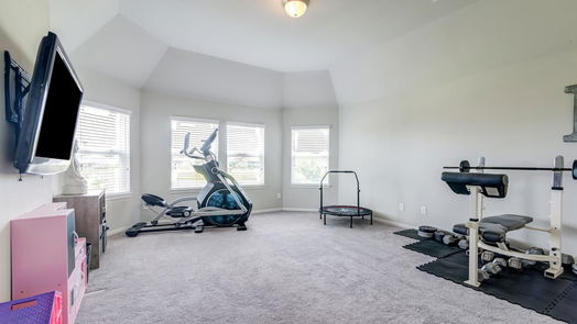 Houston 2-story, 5-bed 9922 Anastasia Trail-idx