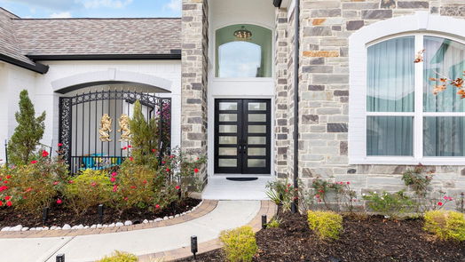 Spring 2-story, 5-bed 25031 Karacabey Court-idx