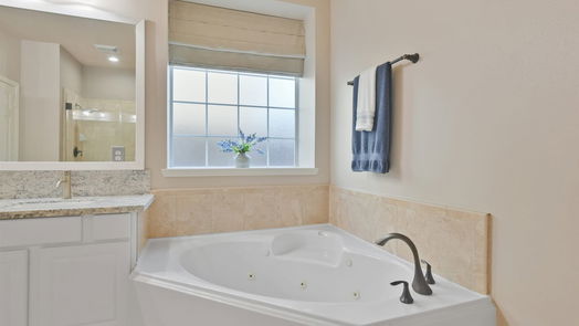 Spring 2-story, 4-bed 7214 Vorgen Court-idx