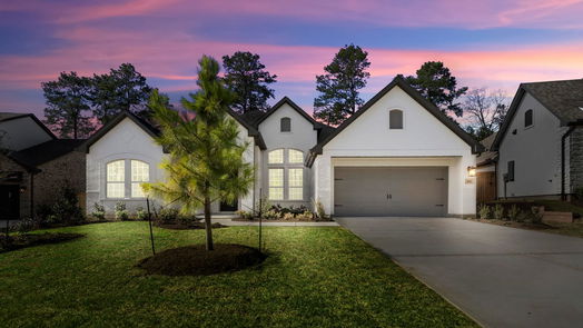 Willis 1-story, 3-bed 320 Magnolia Bloom Court-idx