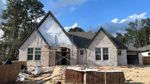 Conroe 1-story, 4-bed 16007 Bonjour Boulevard-idx