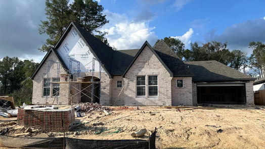 Conroe null-story, 4-bed 16007 Bonjour Boulevard-idx