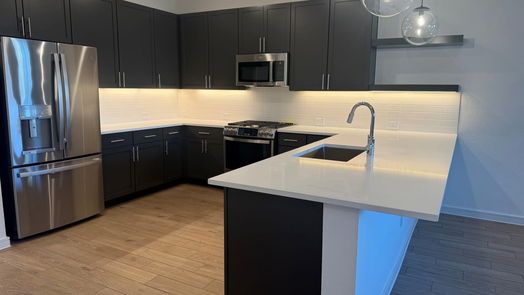 Anahuac null-story, 4-bed 232 Little Spring Court-idx