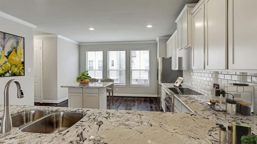 Houston 3-story, 4-bed 8816 Ray Mill Drive-idx