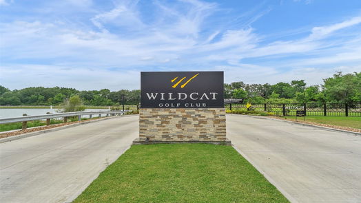 Houston 3-story, 3-bed 11915 Briarwood Hill Way-idx