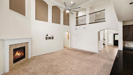 Houston 2-story, 4-bed 12522 Patrick Palace Court-idx