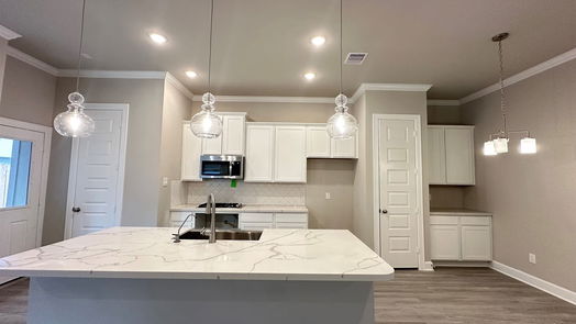 Houston 2-story, 2-bed 11408 Velvet Field Drive-idx