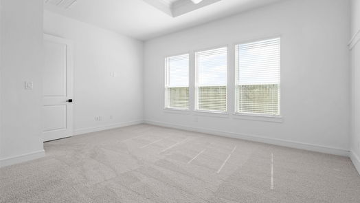 League City 1-story, 4-bed 3225 Palm Heights Street-idx