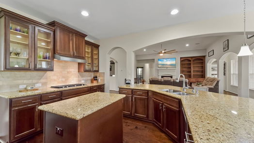 Needville 1-story, 4-bed 10510 Caddo Lake Drive-idx