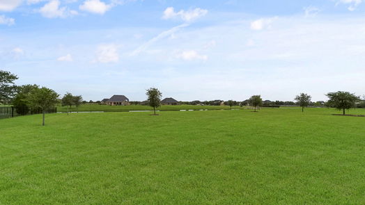 Needville 1-story, 4-bed 10510 Caddo Lake Drive-idx