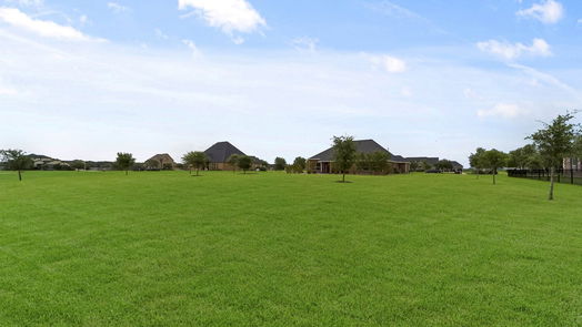 Needville 1-story, 4-bed 10510 Caddo Lake Drive-idx