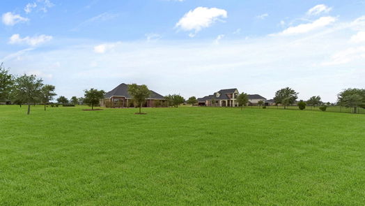 Needville 1-story, 4-bed 10510 Caddo Lake Drive-idx