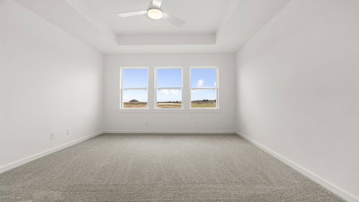 Sealy 1-story, 4-bed 315 Cobb Court-idx