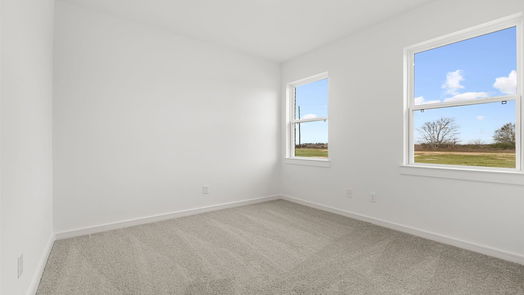 Sealy 1-story, 4-bed 315 Cobb Court-idx