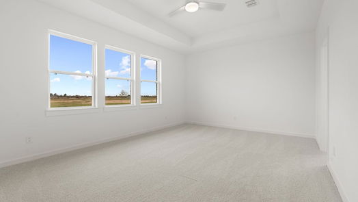 Sealy 1-story, 3-bed 313 Cobb Court-idx