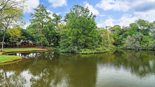 Tomball 2-story, 3-bed 23135 Grosse Point Drive-idx