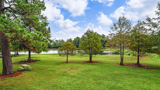 Tomball null-story, 3-bed 23110 Birmingham Grove Lane-idx