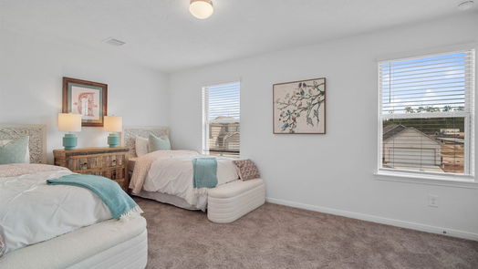 Conroe 2-story, 3-bed 4817 Salerno Lane-idx
