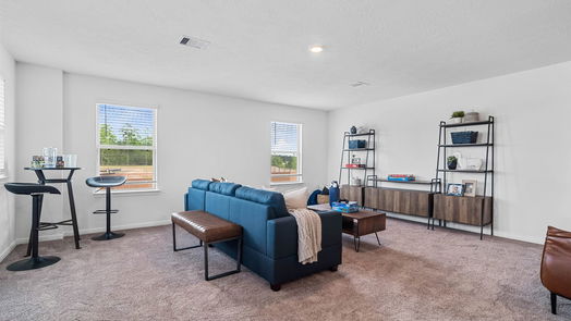 Conroe 2-story, 4-bed 3527 Sage Green Trail-idx