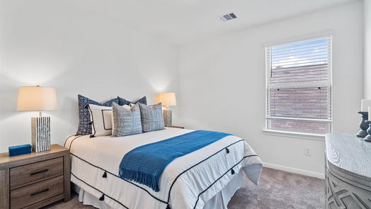 Conroe 2-story, 4-bed 3527 Sage Green Trail-idx