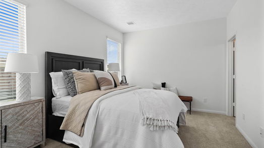 Conroe 1-story, 3-bed 4832 Salerno Lane-idx