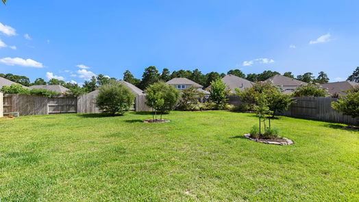 Magnolia 1-story, 4-bed 3825 Tolby Creek Lane-idx