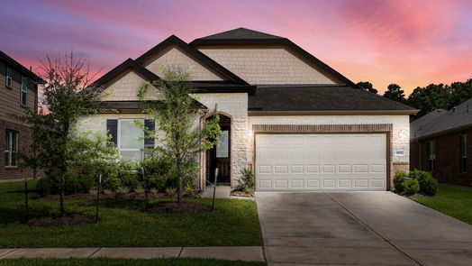 Magnolia 1-story, 4-bed 3825 Tolby Creek Lane-idx