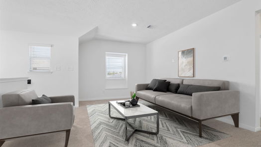 Magnolia 2-story, 3-bed 571 Broken Boulder Street-idx