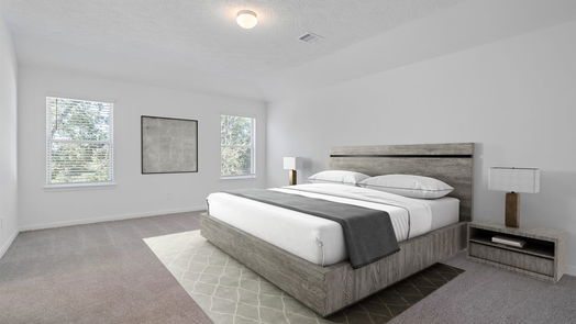 Magnolia 2-story, 3-bed 571 Broken Boulder Street-idx
