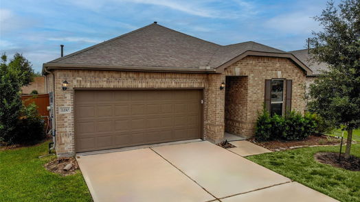 Rosharon null-story, 3-bed 2210 Thunderbolt Peak Drive-idx