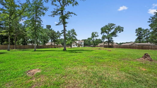 Conroe 2-story, 4-bed 16085 Deer Pines Drive-idx